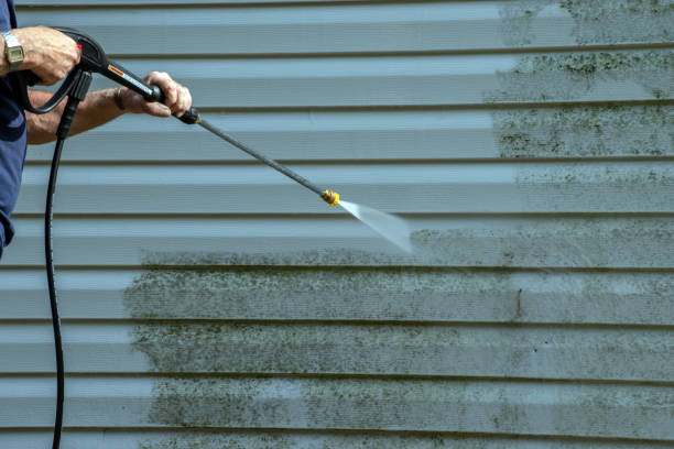 Best Window and Screen Pressure Cleaning in Tucson, AZ